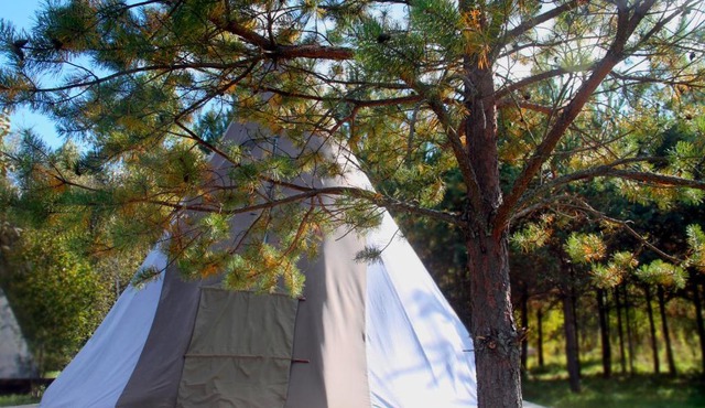 Hoki Camp Глэмпинг у реки