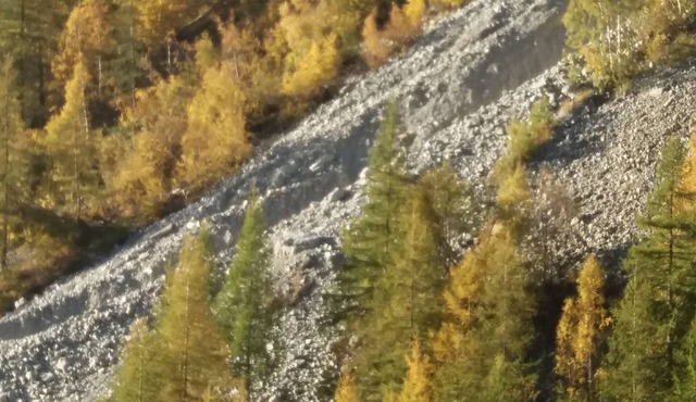 HOLIDAY IN THE MOUNTAIN