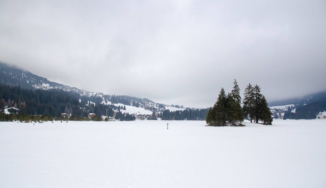 Holiday accommodation Bergzauber Lumora for 5 persons Lantsch-Lenzerheide