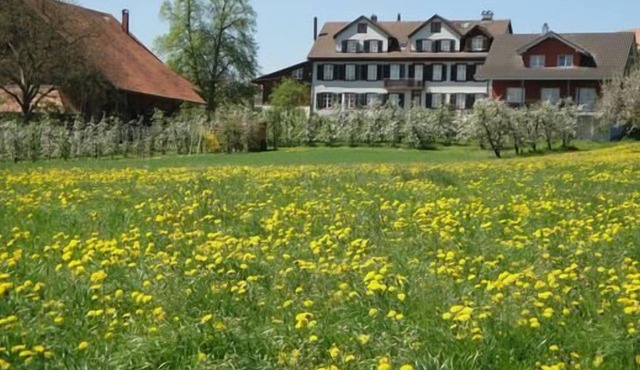 Holiday apartment Kümmertshausen for 4 - 8 persons with 3 bedrooms - Holiday apartment in a farmhous