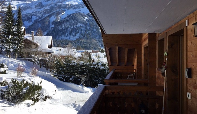 Holiday apartment Diablerets
