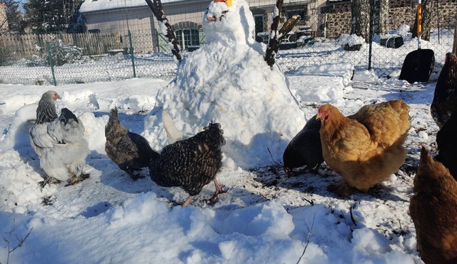 Holiday Apartment "Chez L'habitant Saint Nectaire" with Mountain View, Shared Terrace & Wi-Fi