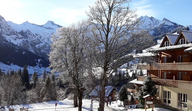 Holiday apartment Adelboden for 1 - 2 persons with 1 bedroom - Holiday apartment