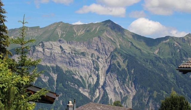 Holiday apartment Axalp for 1 - 4 persons - Holiday apartment