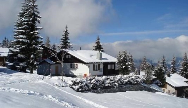 Holiday apartment Axalp for 1 - 4 persons with 2 bedrooms - Chalet
