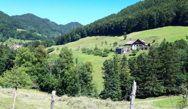 Holiday apartment Beinwil SO for 5 persons with 2 bedrooms - Holiday apartment in a farmhouse