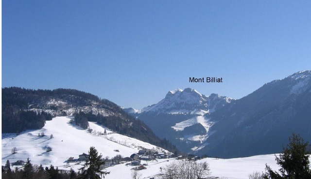 Holiday apartment Bellevaux for 6 persons with 1 bedroom - Holiday apartment in one or multi-family