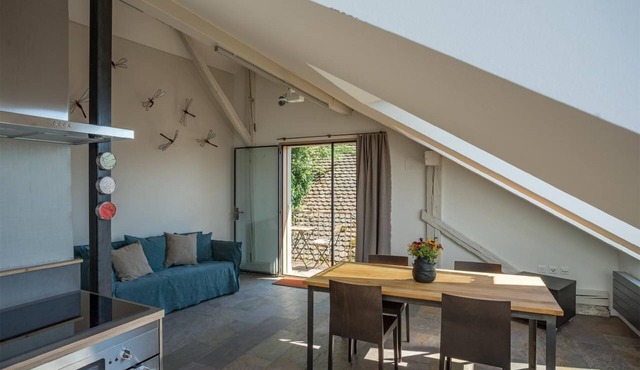 Holiday apartment Bellerive VD for 1 - 2 persons with 1 bedroom - Farmhouse