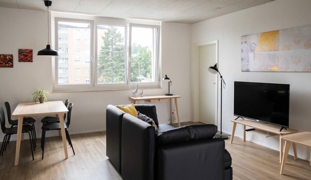 Holiday apartment Schaffhausen for 1 - 4 persons with 1 bedroom - Holiday apartment