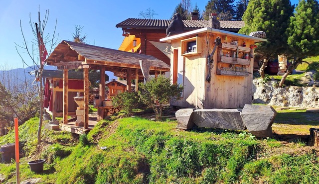 Holiday apartment Ennetbühl for 1 - 10 persons with 6 bedrooms - Chalet