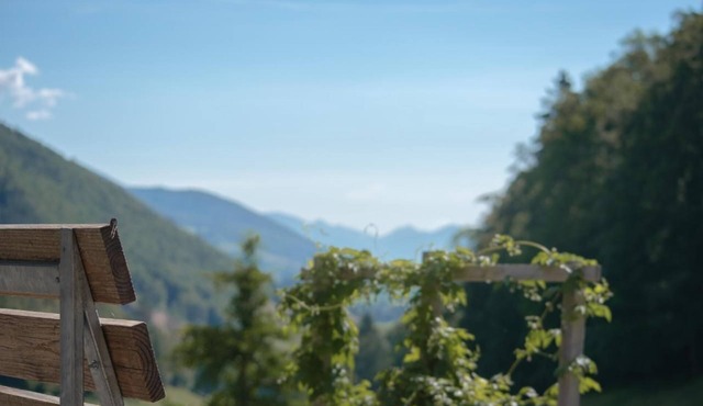 Holiday apartment Gänsbrunnen for 1 - 7 persons with 3 bedrooms - Farmhouse