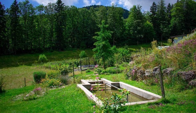 Holiday apartment Gänsbrunnen for 1 - 7 persons with 3 bedrooms - Farmhouse