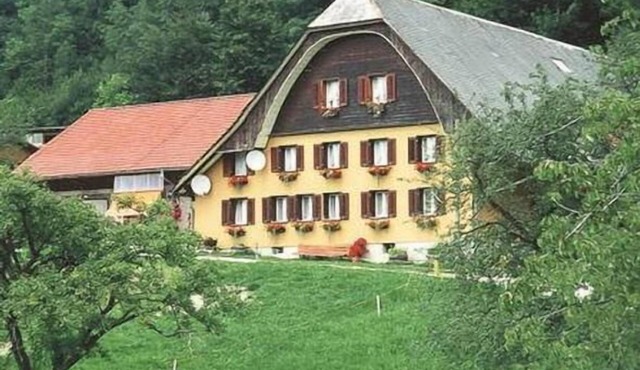 Holiday apartment Hofstatt for 4 - 6 persons with 2 bedrooms - Holiday apartment in a farmhouse