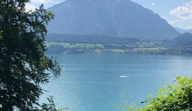 Holiday apartment Merligen for 2 persons with 1 bedroom - Holiday apartment