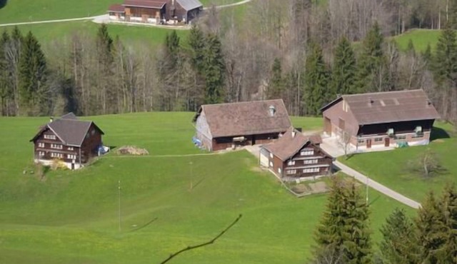 Holiday apartment Nesslau for 4 - 8 persons with 4 bedrooms - Multistorey holiday home/maisonette