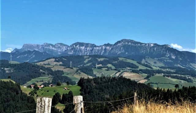 Holiday apartment Romoos for 1 - 5 persons with 2 bedrooms - Farmhouse