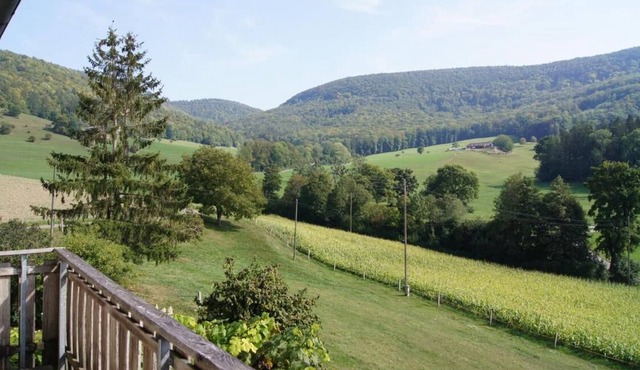 Holiday apartment Schleitheim for 2 - 4 persons with 1 bedroom - Holiday house