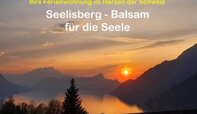 Holiday apartment Seelisberg for 2 persons with 1 bedroom - Holiday house