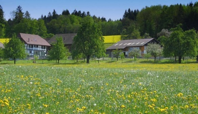 Holiday apartment "Tieroase" on a farm with horses and donkeys