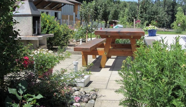 Holiday apartment "Tieroase" on a farm with horses and donkeys