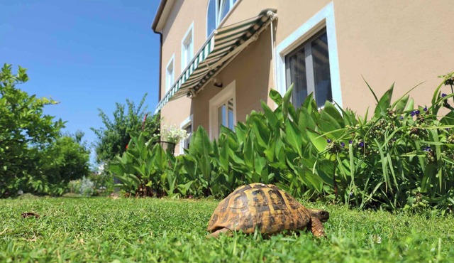Holiday apartment with internet, air conditioning, terrace and garden in a quiet location