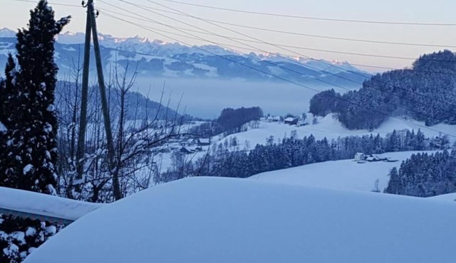 Holiday apartment Wald ZH for 2 - 3 persons with 1 bedroom - Holiday apartment in a farmhouse