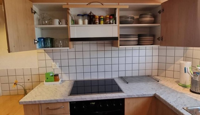 holiday apartment Windegg