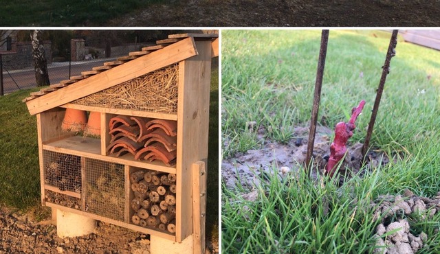 HOLIDAY COTTAGE 4 PERSONS