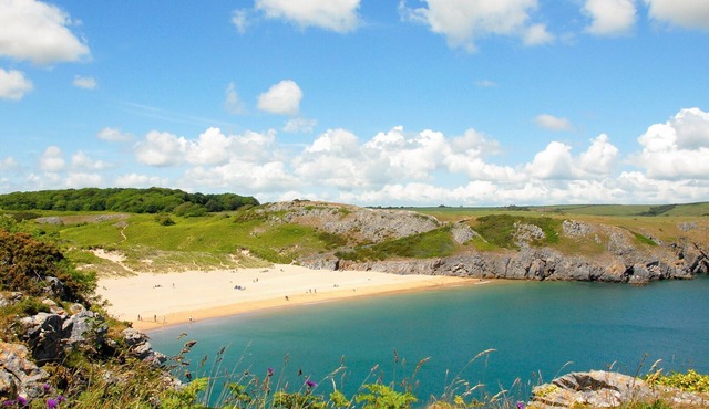 Holiday cottage in grounds of Upton Castle Pembrokeshire - eco and dog friendly.