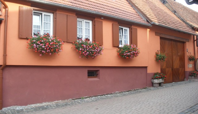 Holiday cottage in Westhoffen Schwartz Jacqueline Route des vins 67 Alsace