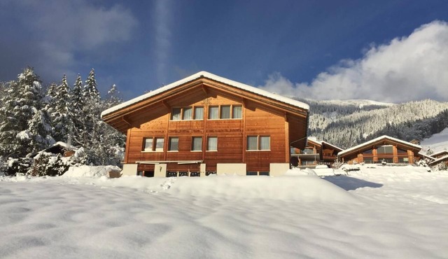 Holiday flat with mountain view