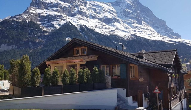 Holiday flat "Heidi" with mountain view