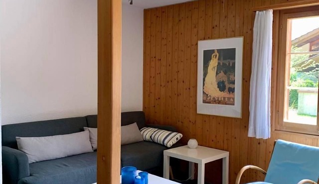 Holiday flat in Chalet Underem Gfell 28