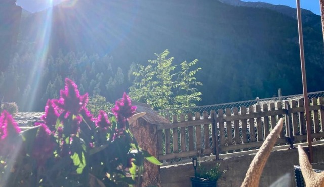 Holiday flat Morgengruss