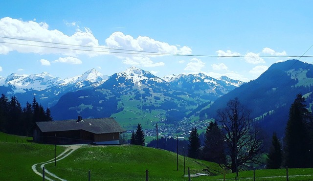 Holiday flat with mountain panorama