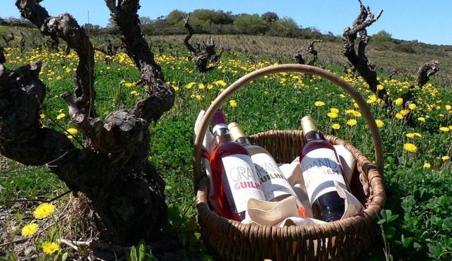 Holiday apartment Cascastel des Corbières for 4 - 6 persons with 2 bedrooms - Farmhouse