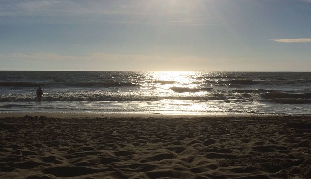 Holiday house for 2 to 10 persons Saint MIchel head chef