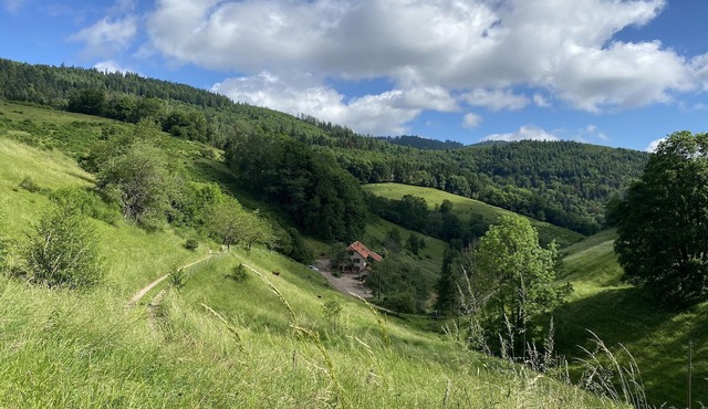 Holiday House Prairie D Hergauchamps/Sauna/Whirlpool on 20ha private property