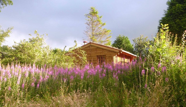 Holiday getaway, log burner, romantic retreat