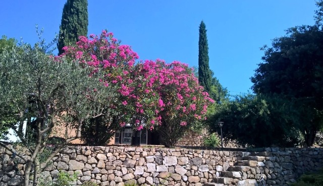 Holiday Gite in Southern Ardeche