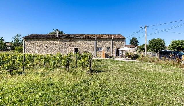 Holiday gite on a vineyard