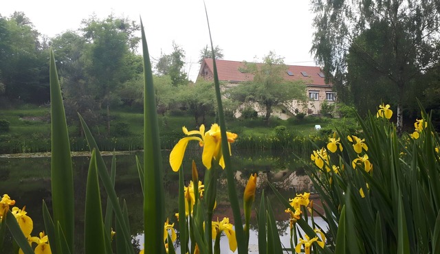 Holiday Home “Gîte for 18 People with Pond” with Lake View
