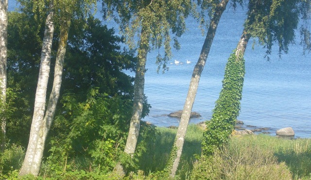 Holiday house with a wonderful view of the sea and a large garden, free WiFi
