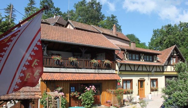 Holiday Home 3* in Alsace, quiet 15 mm from tourist sites, ideal for families