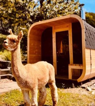 Holiday Home Alpaka-Ferienhaus Oenzlen by Interhome