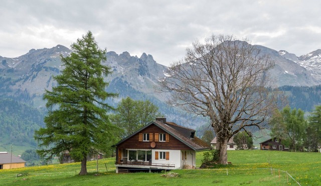 Holiday home at Schwendisee