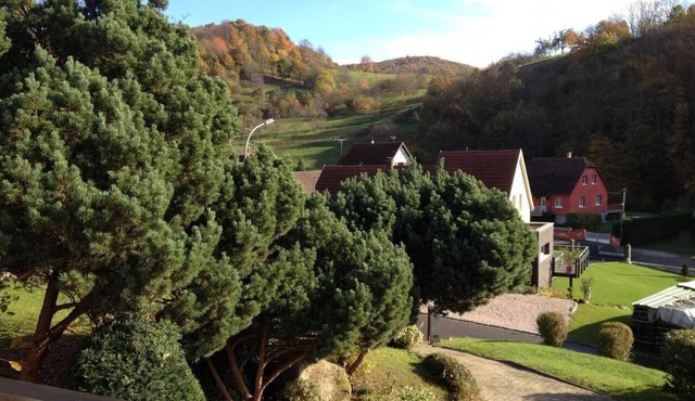Holiday home Bellevue with large garden