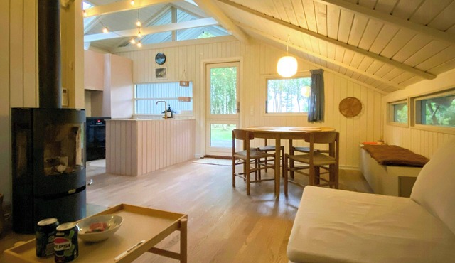Holiday home between beach and forest on Mors