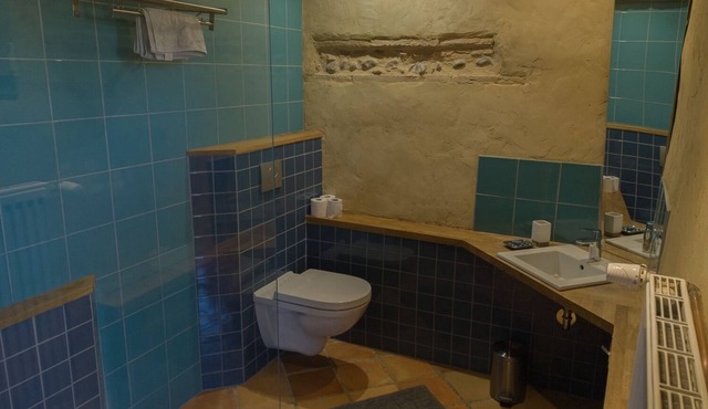 Holiday home between Toulouse and Gascony