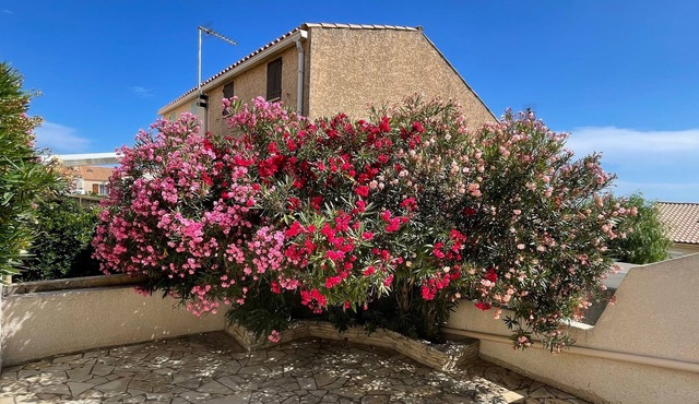 Holiday Home 'Casa Costella, Saint Pierre La Mer' with Sea View, Private Terrace and Private Garden